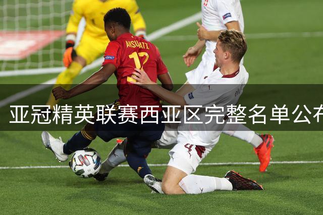 亚冠精英联赛西亚区完整名单公布 沙特5队强势入围