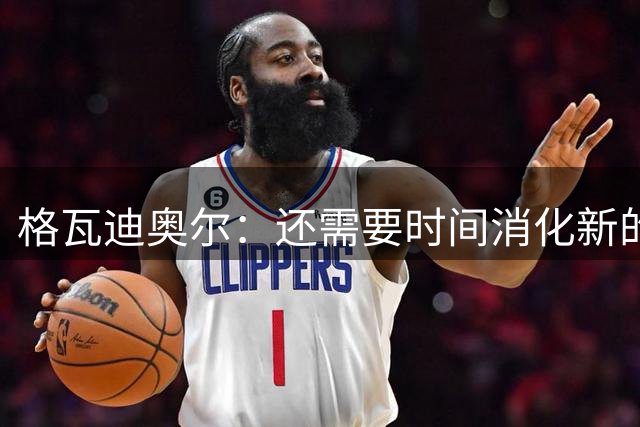 格瓦迪奥尔：还需要时间消化新的战术理念 若哈兰德能来会更好玩