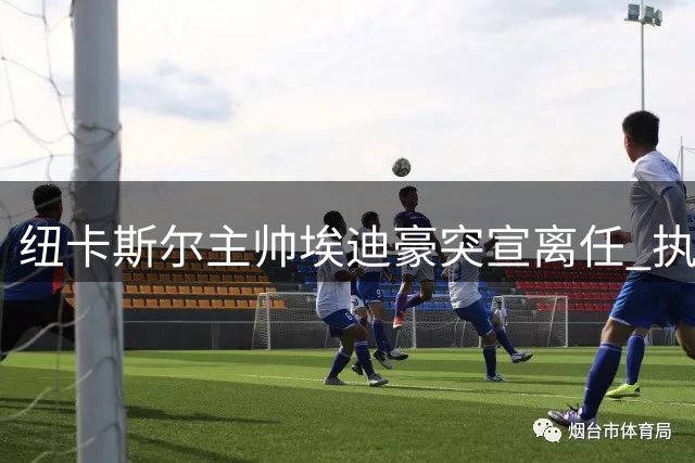 纽卡斯尔主帅埃迪豪突宣离任 执教生涯暂画休止符
